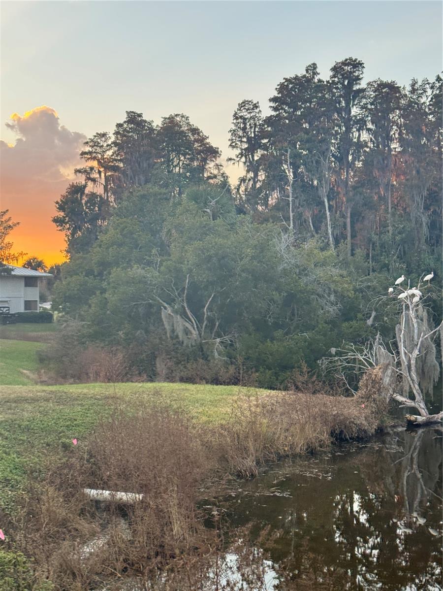 Image 33 of 46 For 4782 Fox Hunt Drive D659