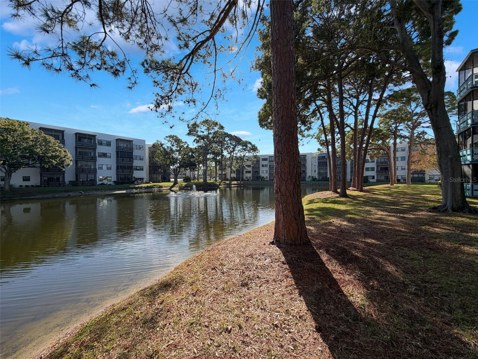 Image 35 of 82 For 5970 80th Street North  206