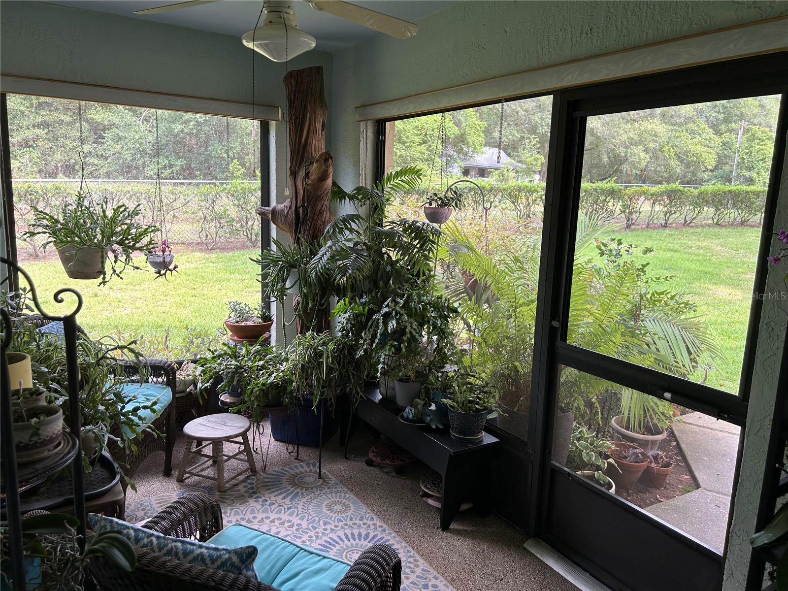 Image 9 of 26 For 2050 Forest Drive