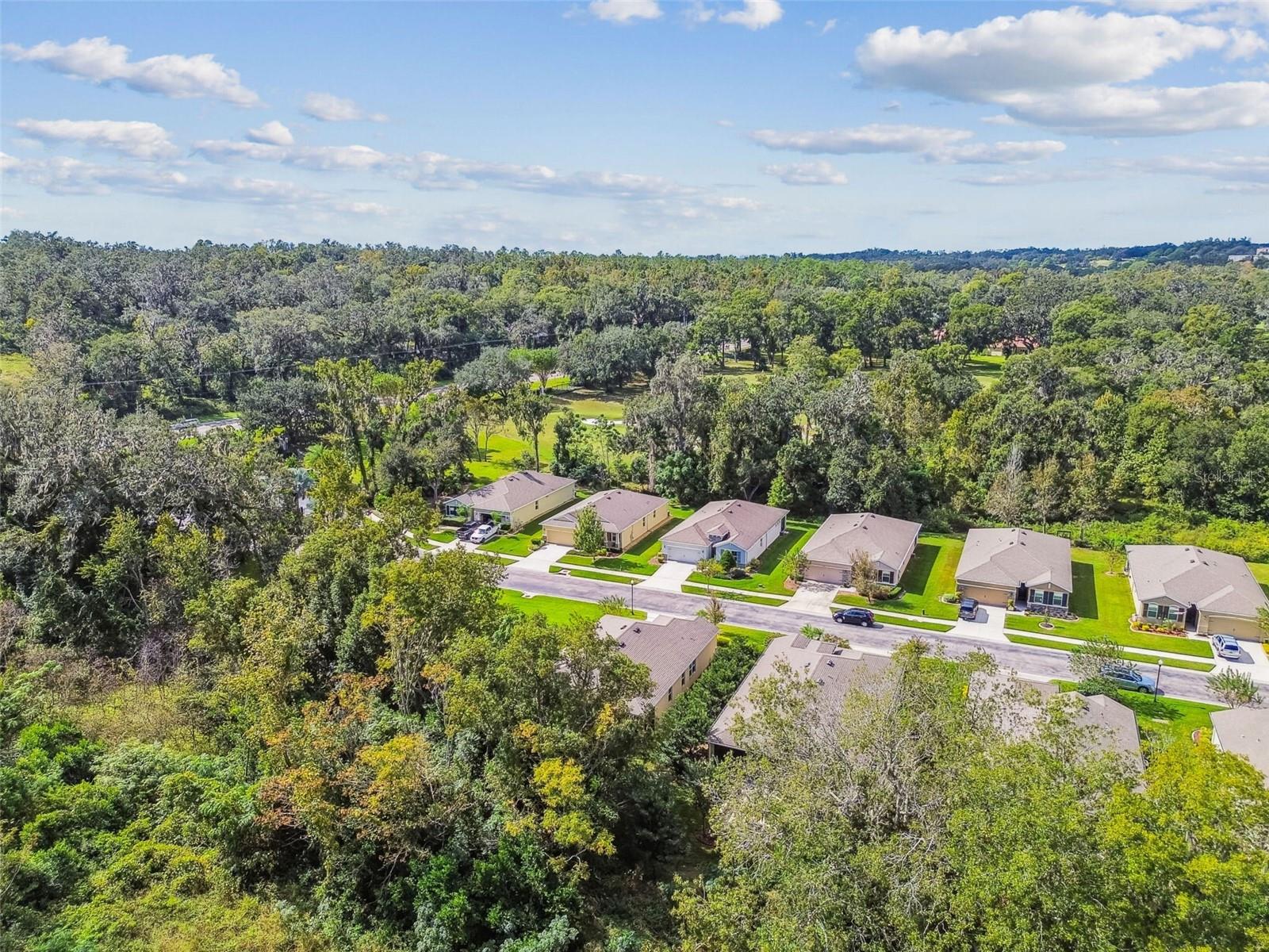 Listing photo id 18 for 12322 Eastpointe Drive