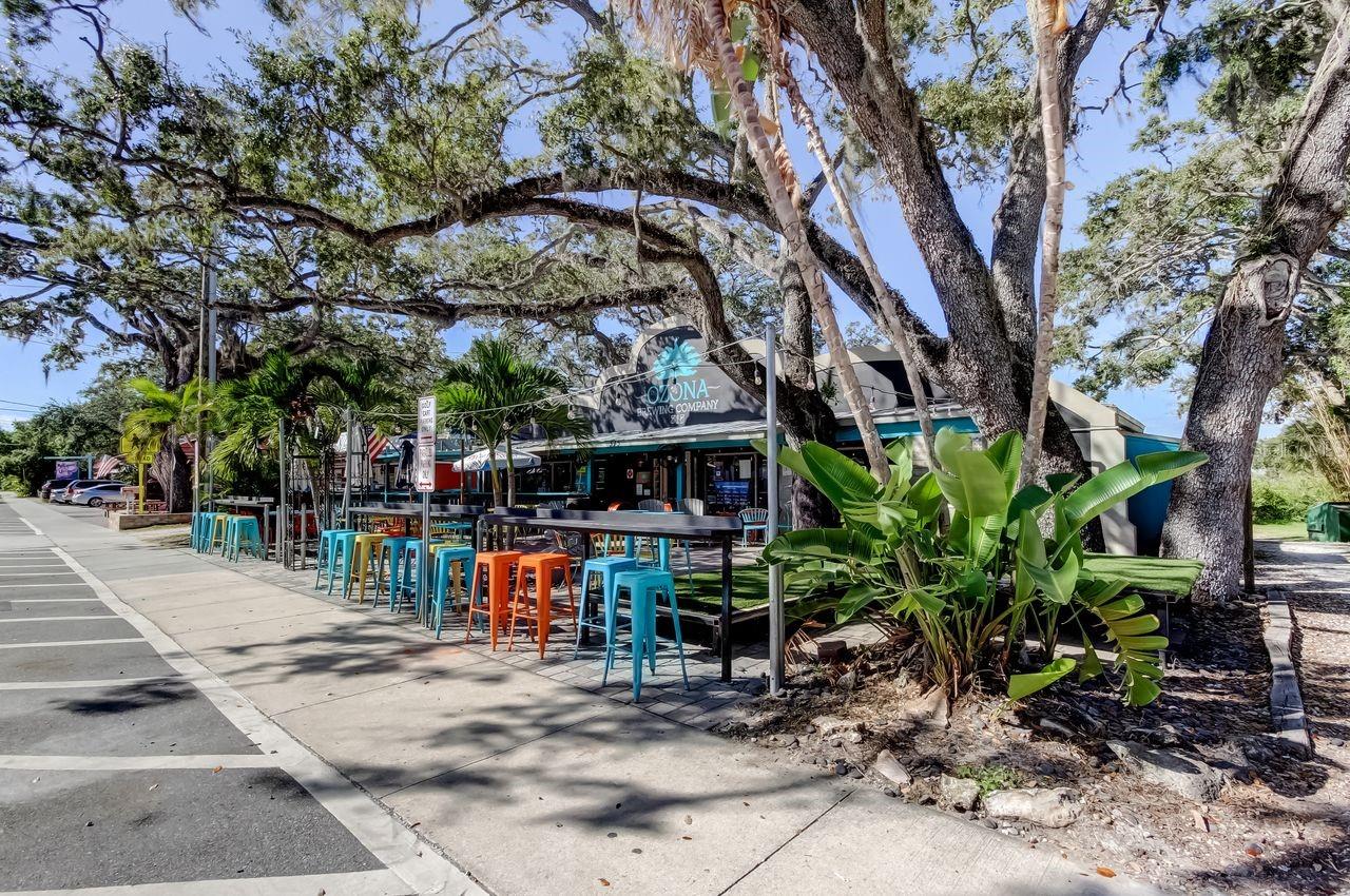 Image 11 of 12 For 236 Pinecrest Drive