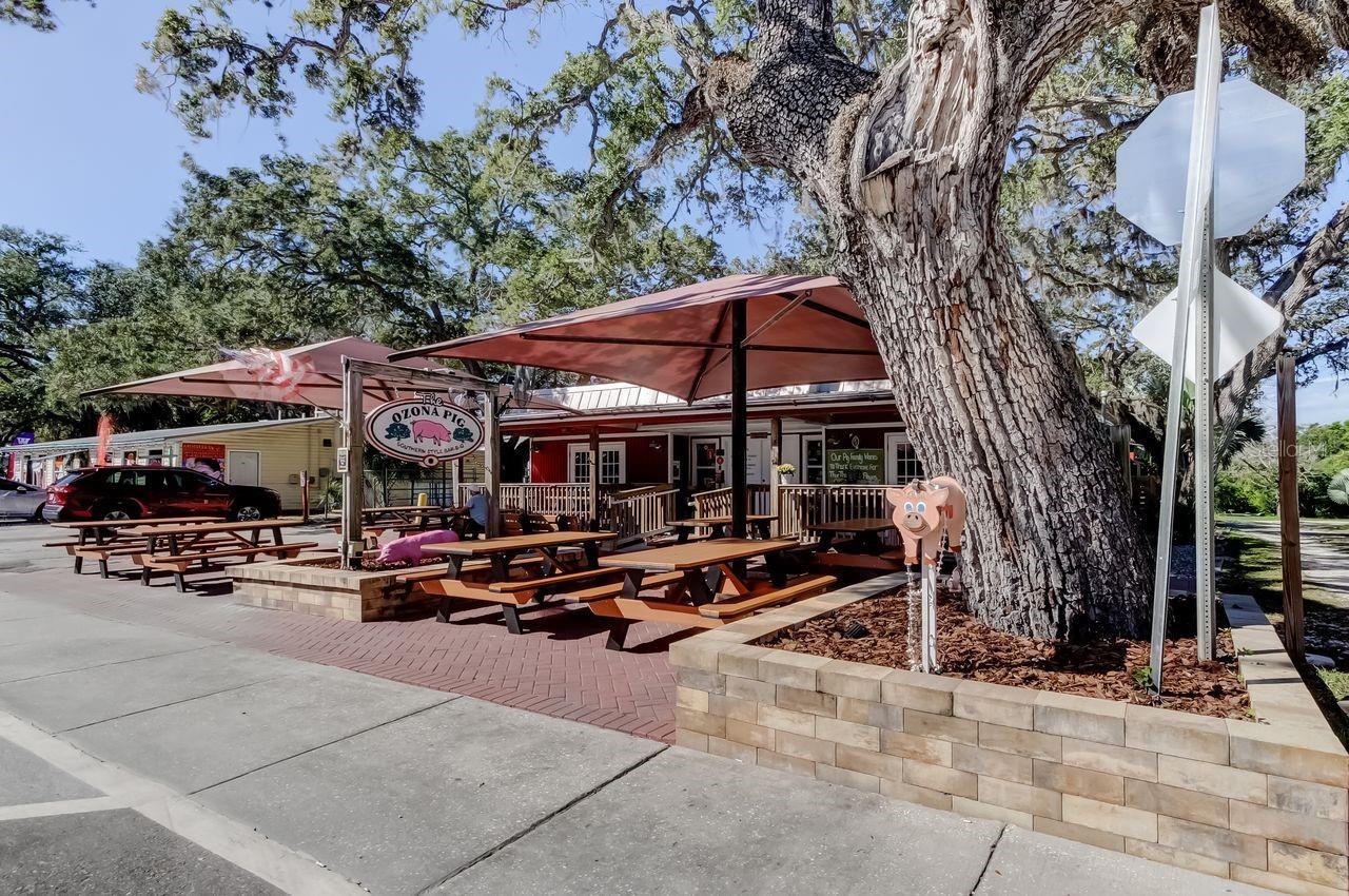 Image 12 of 12 For 236 Pinecrest Drive