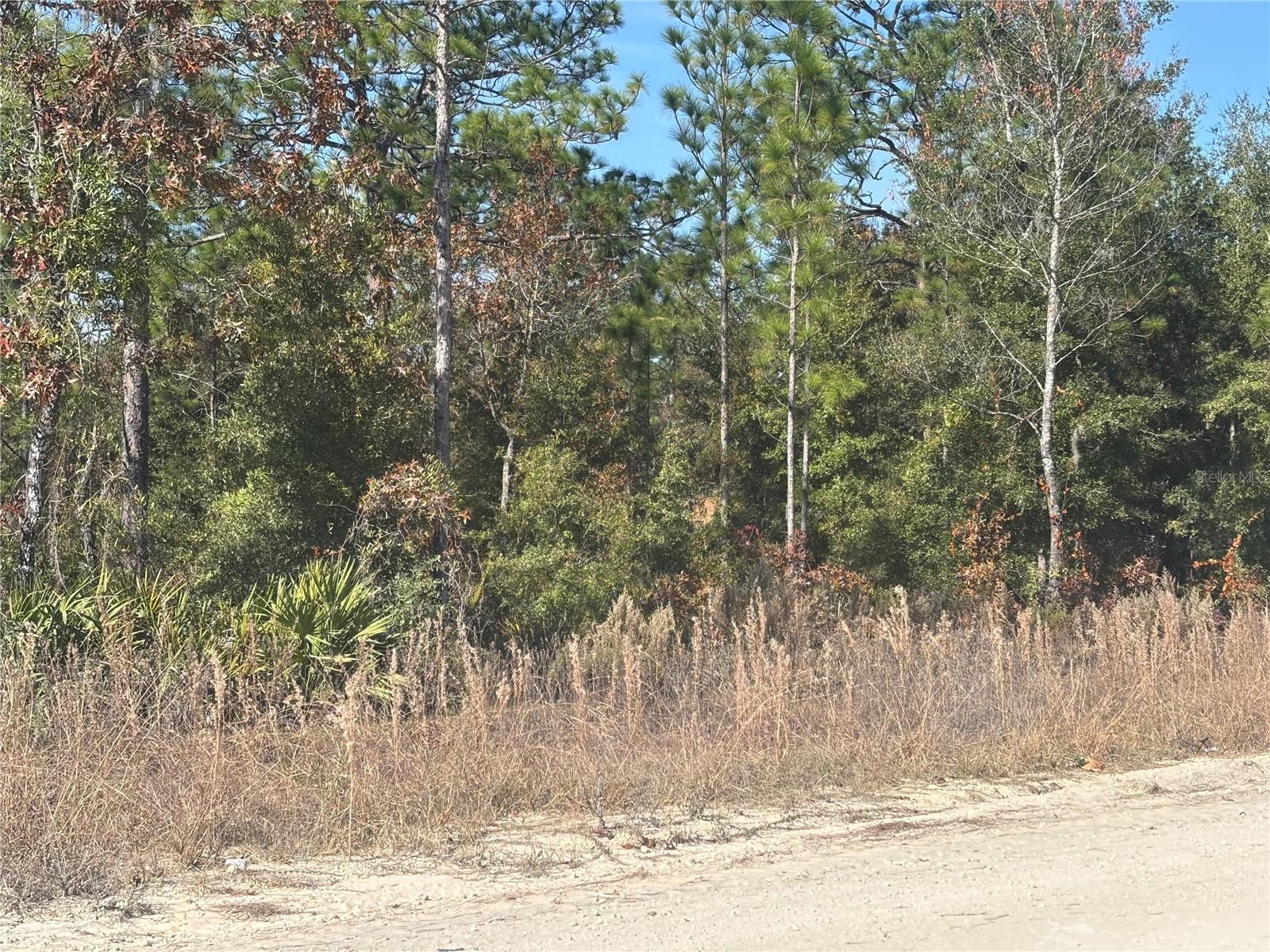 Image 2 of 3 For 0000 106th Court