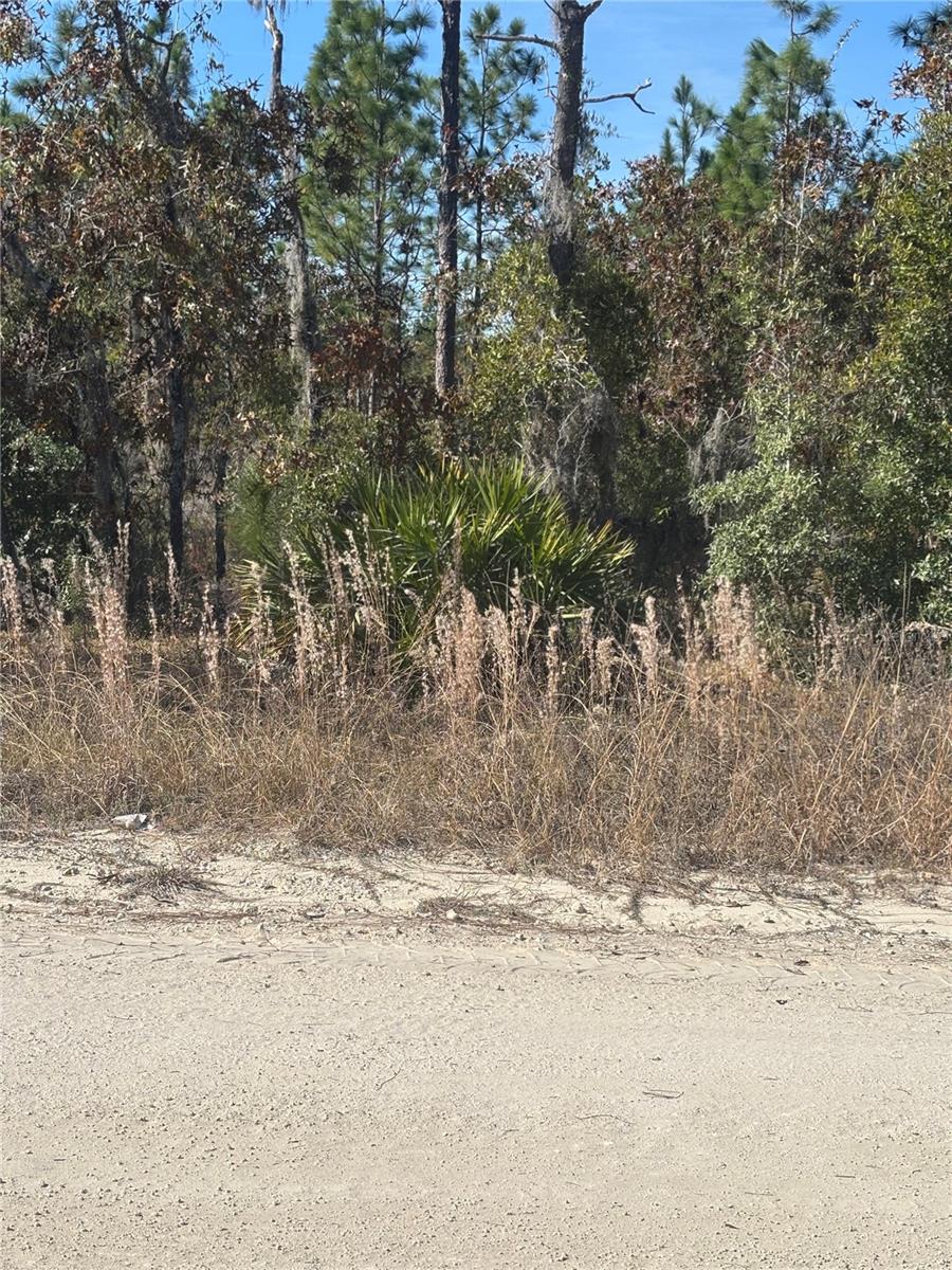 Image 3 of 3 For 0000 106th Court