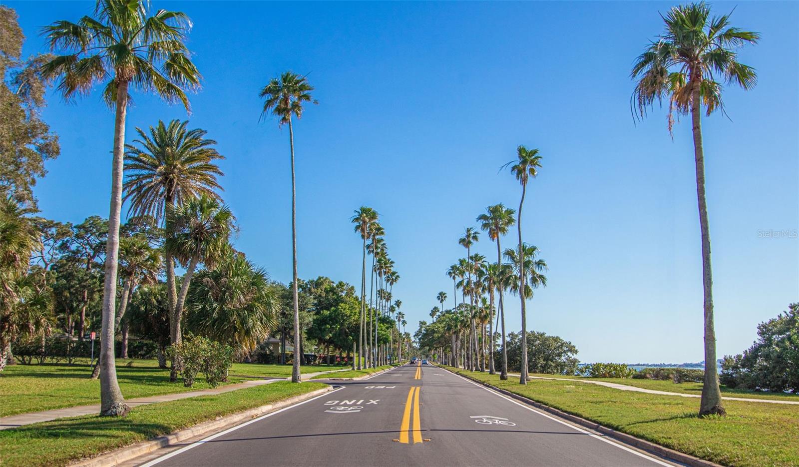 Image 5 of 61 For 229 Lime Circle S