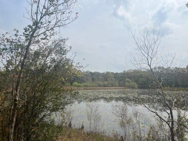 Image 10 of 19 For 16222 Livingston Avenue