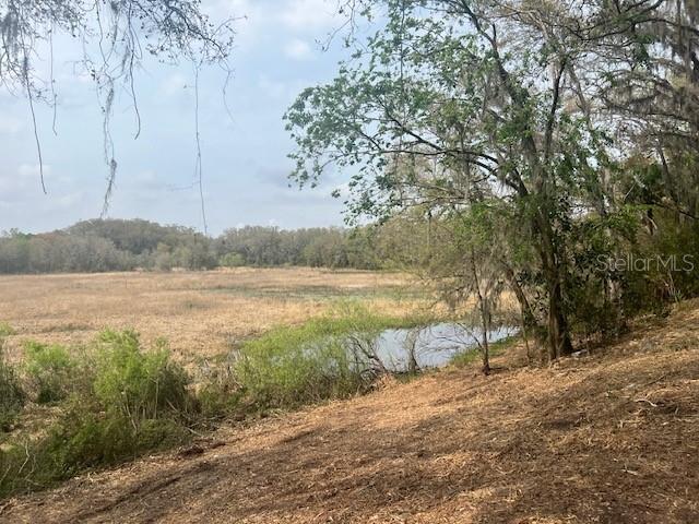 Image 12 of 19 For 16222 Livingston Avenue