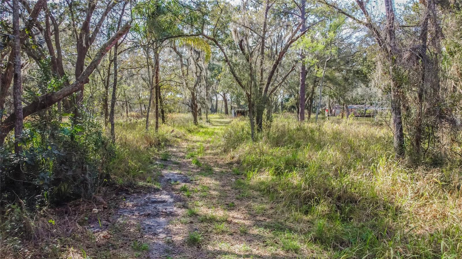 Image 14 of 19 For 16222 Livingston Avenue