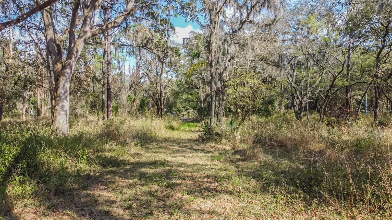 Image 18 of 19 For 16222 Livingston Avenue