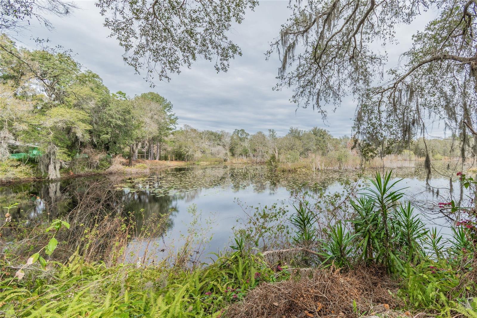 Image 9 of 19 For 16222 Livingston Avenue