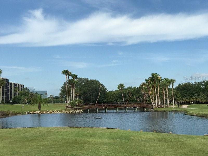 Image 42 of 43 For 19029 Us Highway 19 N 27a