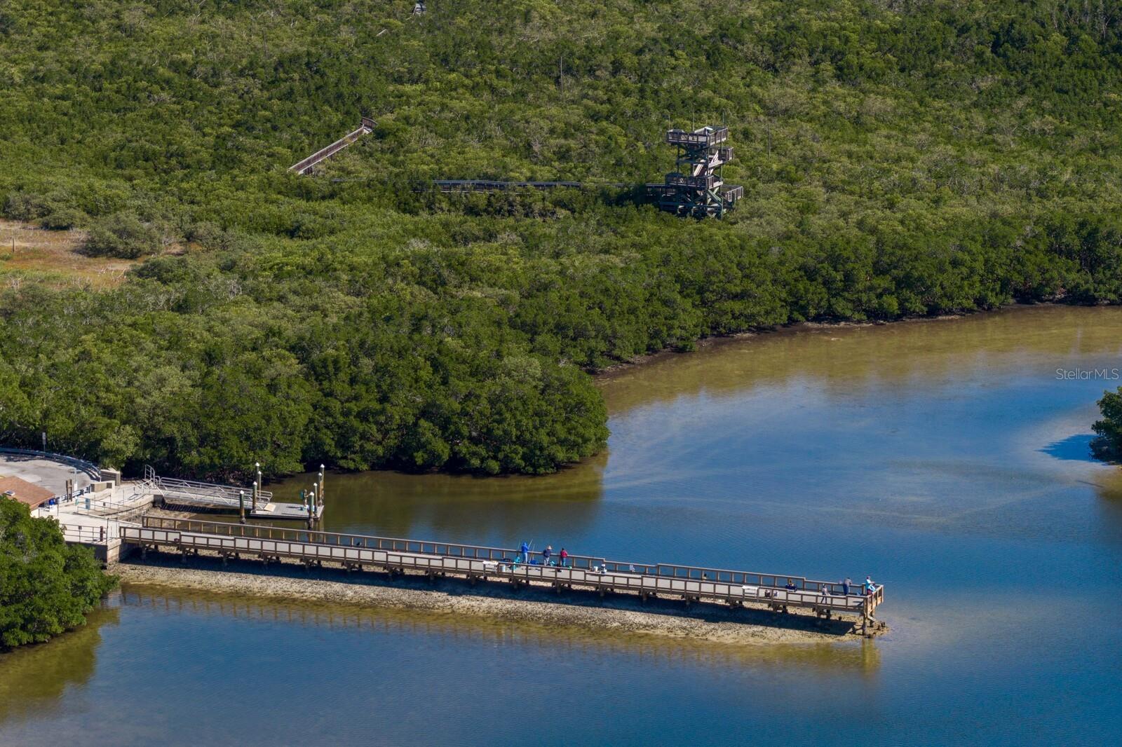 Listing photo id 72 for 1501 75th Circle Ne