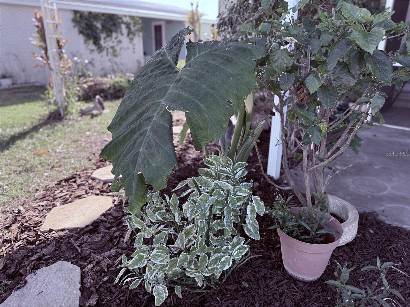 Image 24 of 32 For 3141 Great Oak St