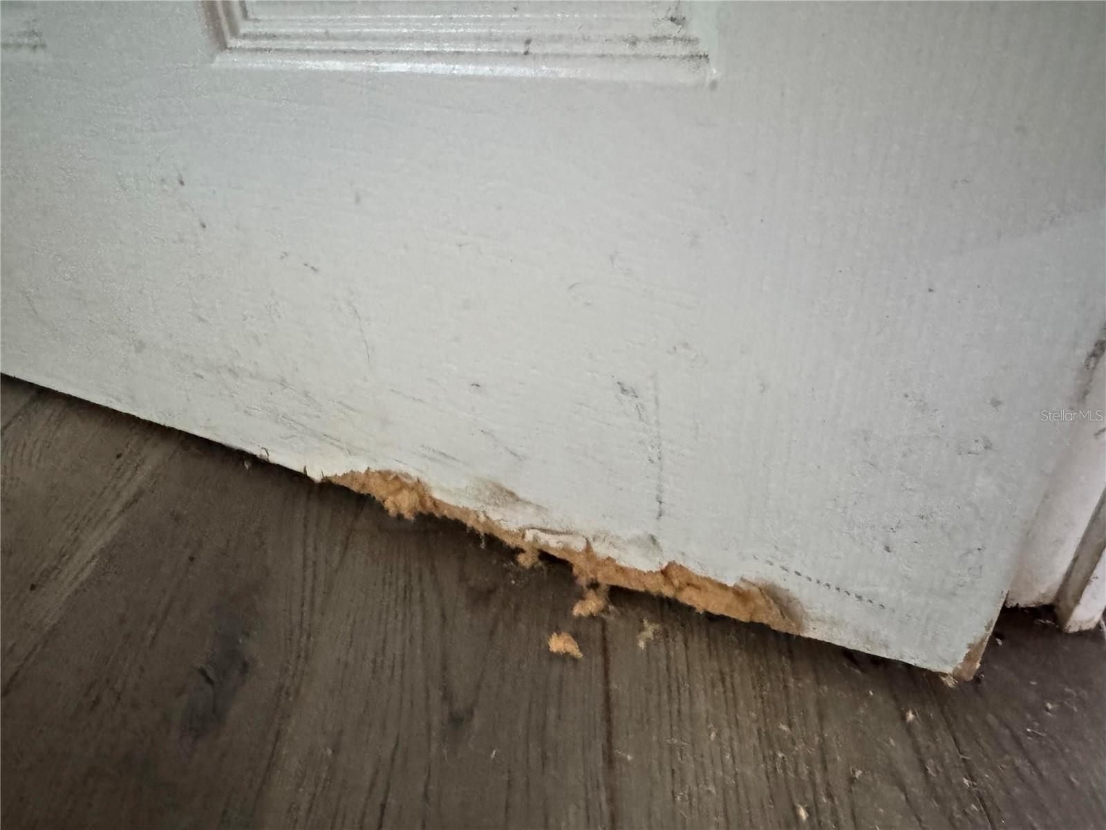 Image 14 of 24 For 3402 Pearson Road