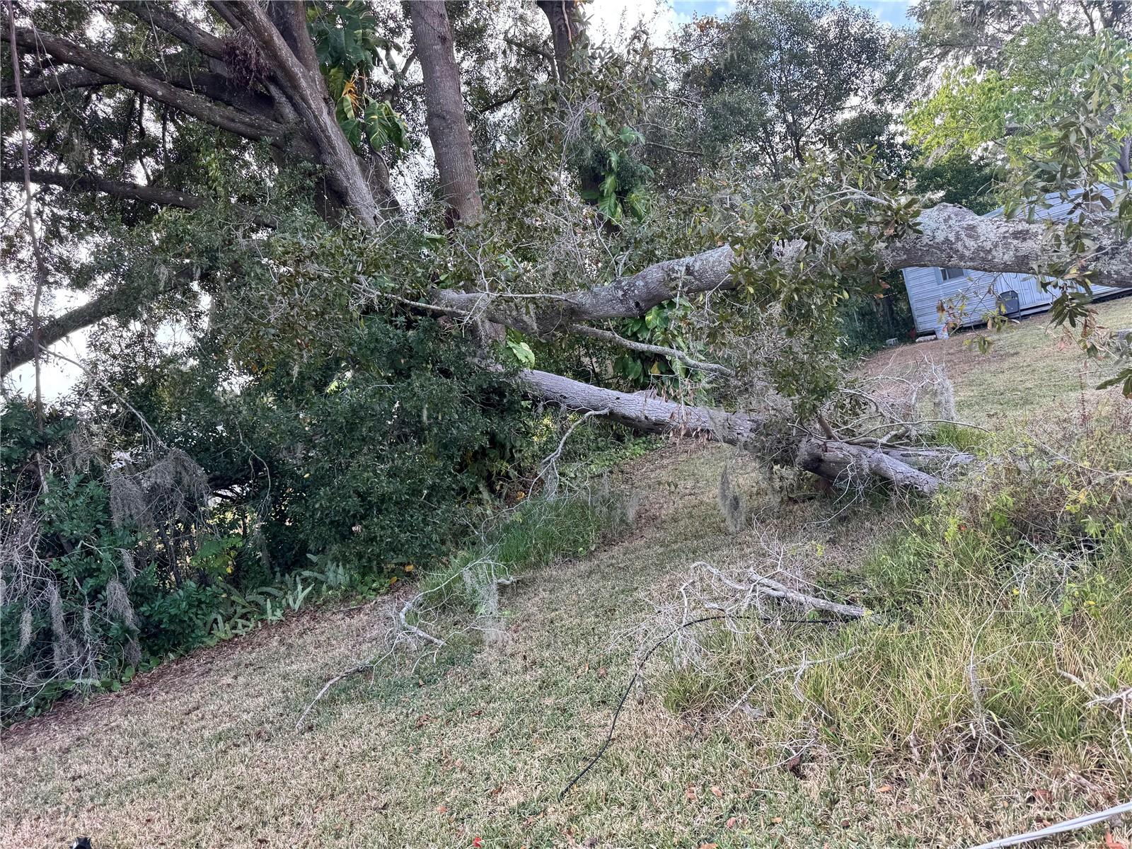 Image 23 of 24 For 3402 Pearson Road