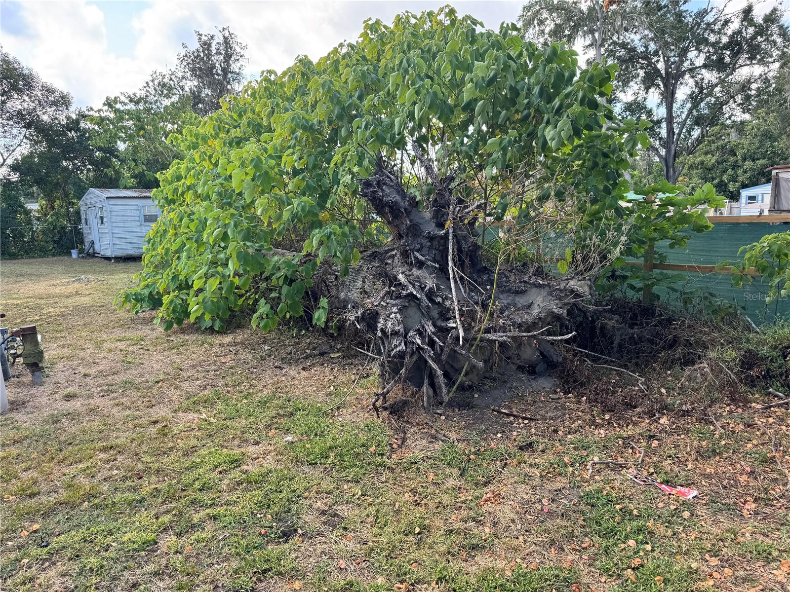 Image 24 of 24 For 3402 Pearson Road