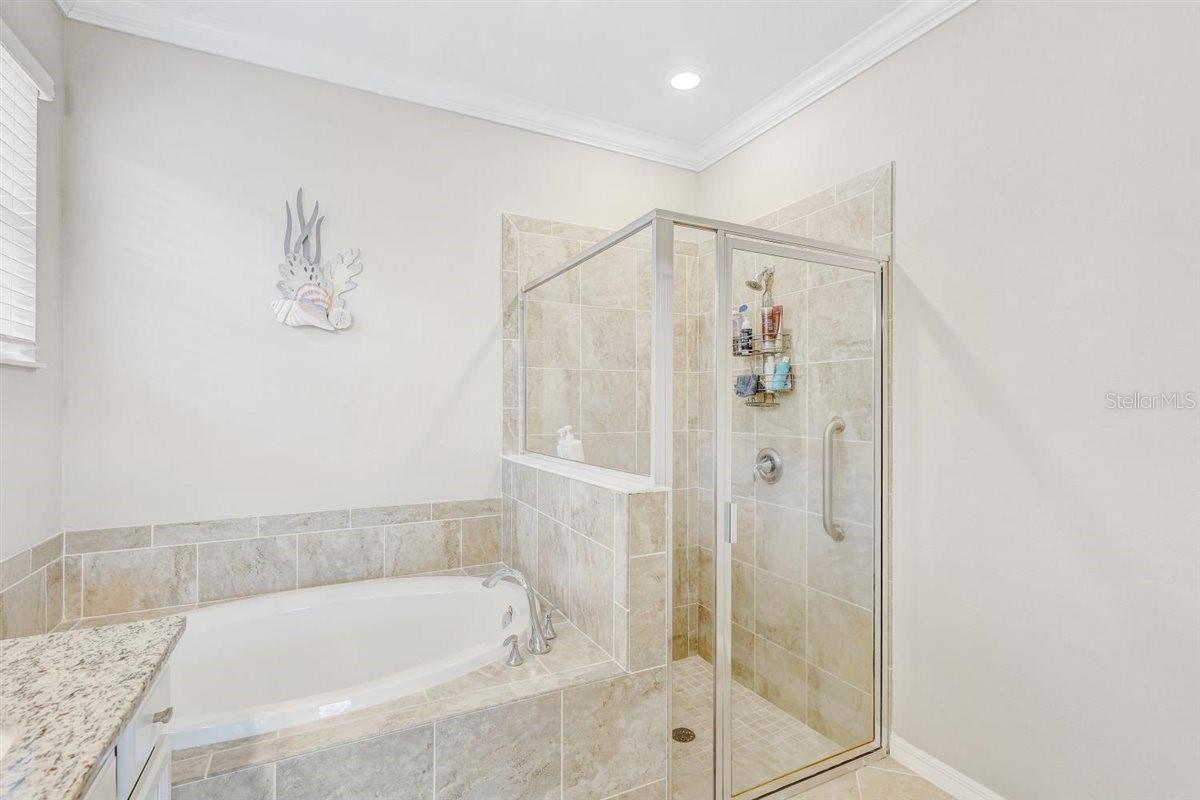 Image 18 of 44 For 9481 Ruscello Court