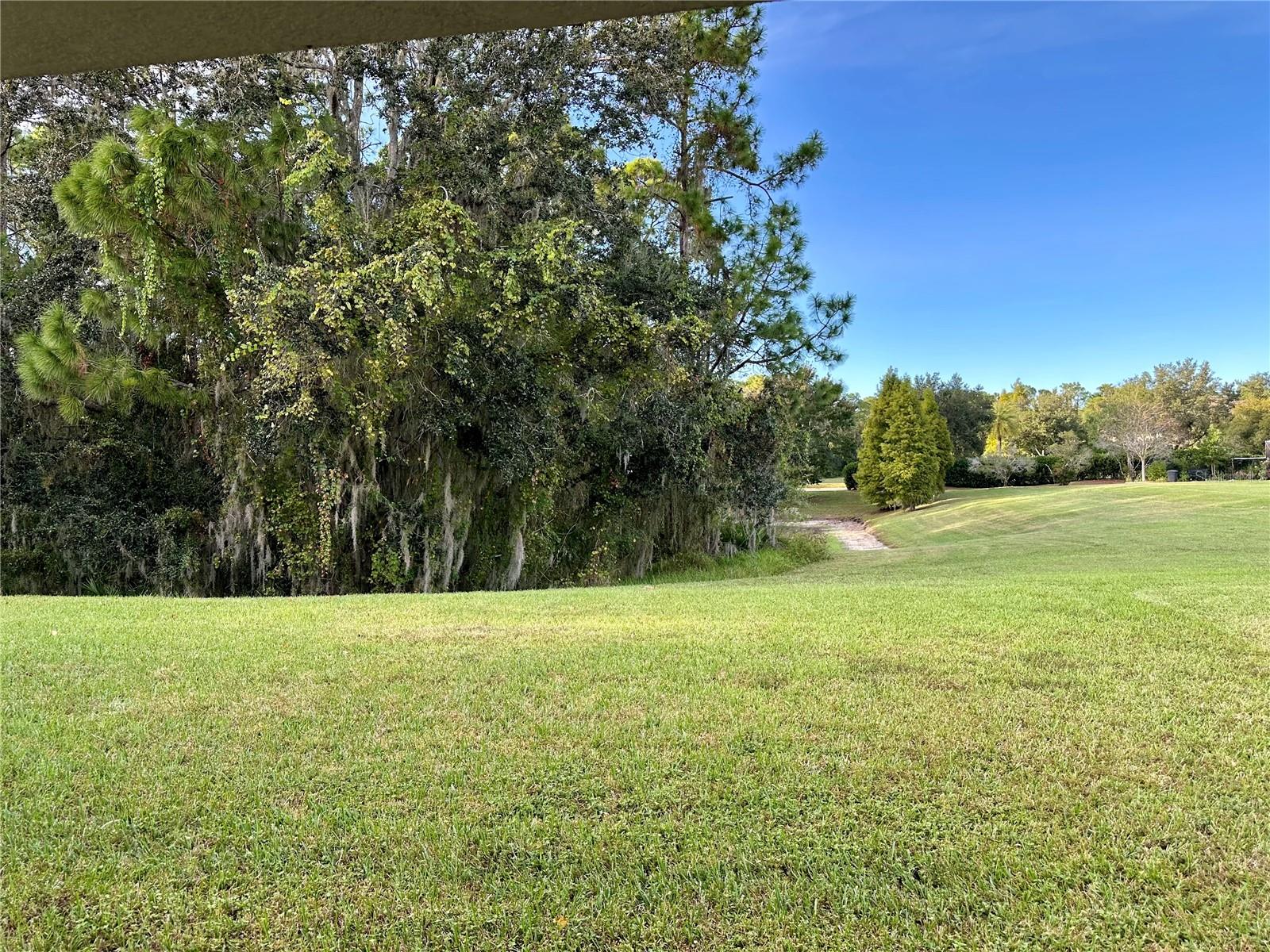 Image 24 of 27 For 9908 Spice Bush Court