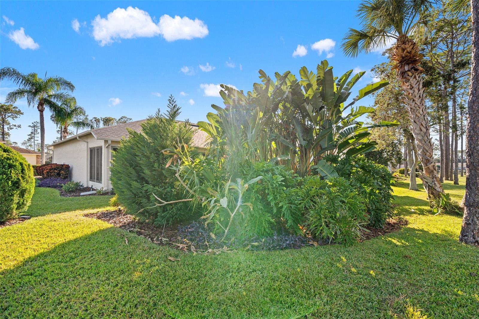 Image 44 of 51 For 18715 Dove Hollow Court