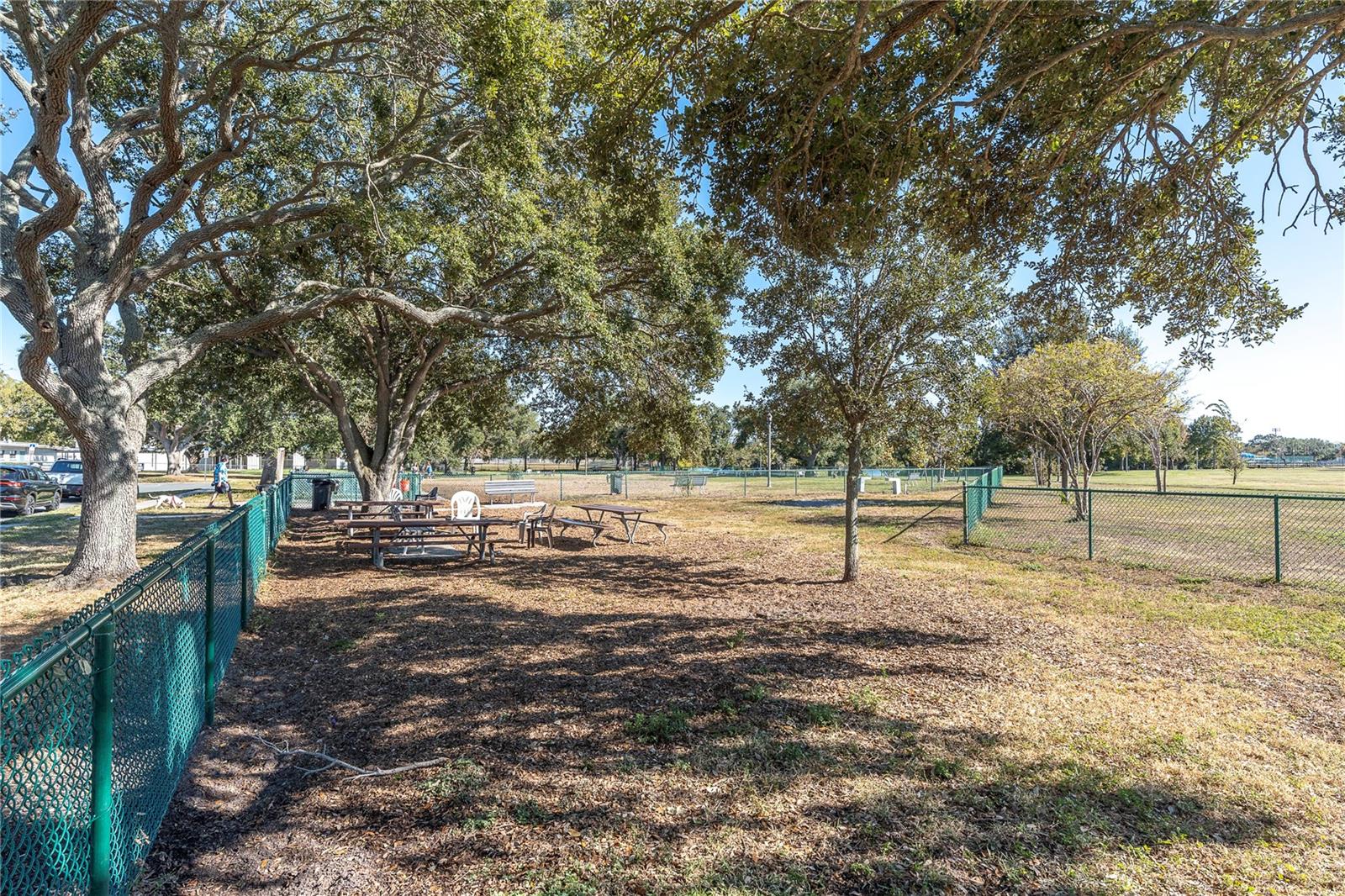 Image 27 of 35 For 7801 34th Avenue N 27