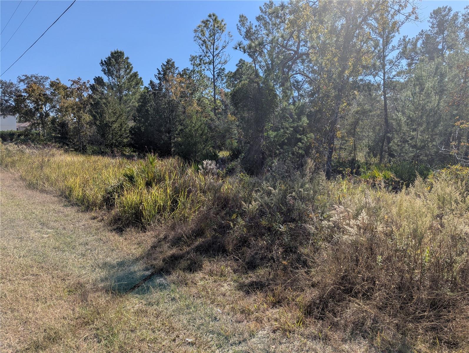 Listing photo id 0 for 11228 Fool Duck Avenue