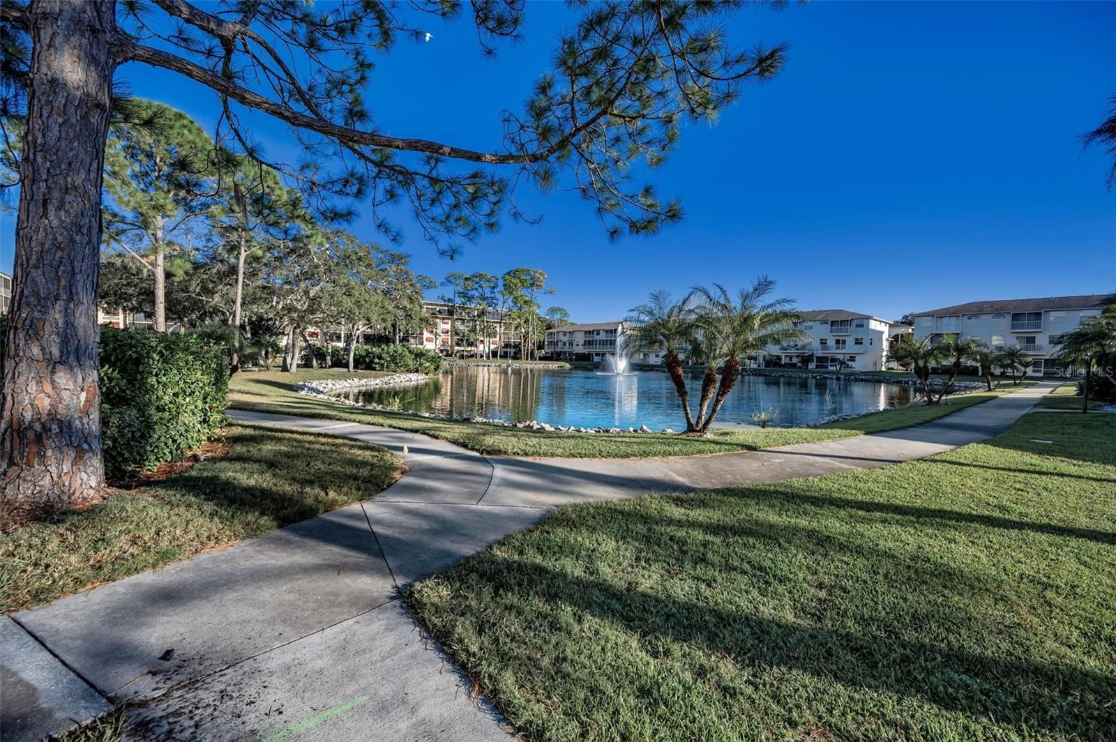 Image 64 of 65 For 5775 Park Street N 211