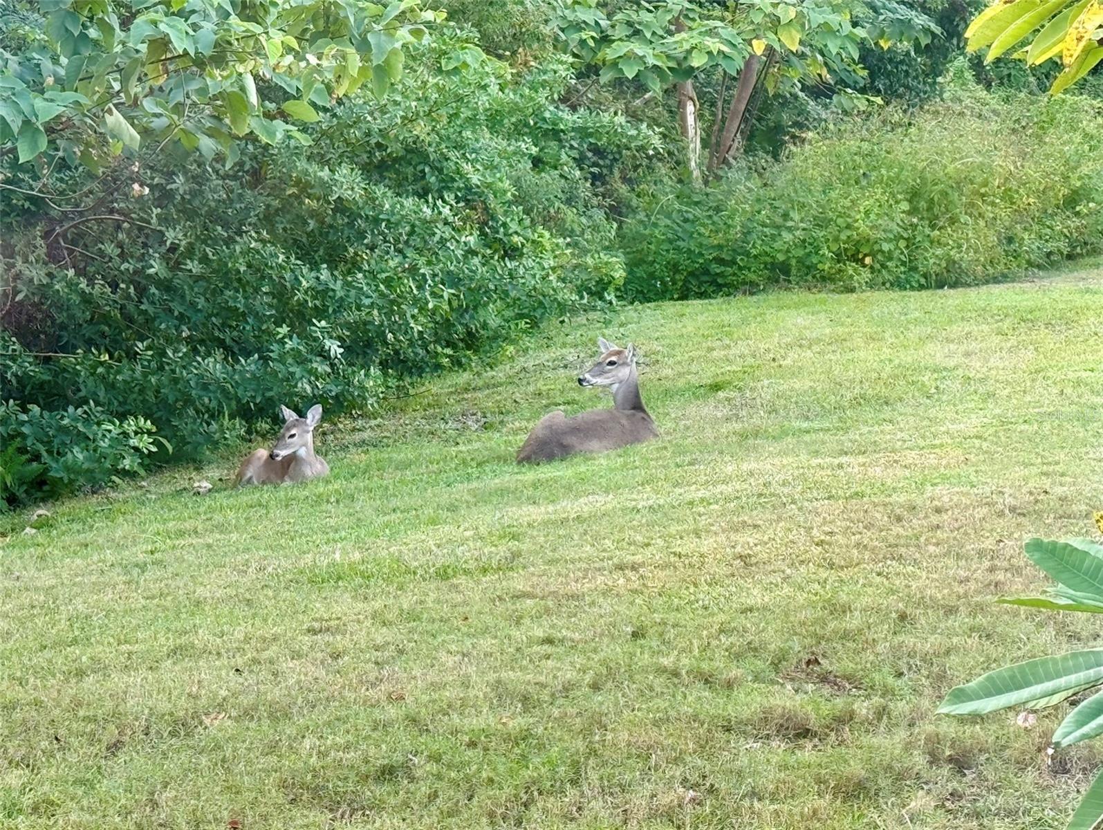 Image 17 of 19 For 1482 Glengarry Drive