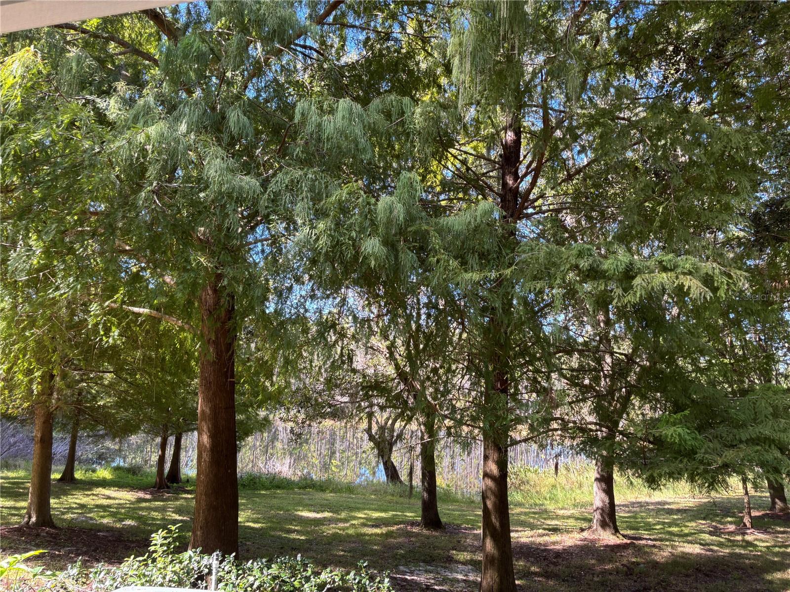 Image 19 of 23 For 870 Vineland Place