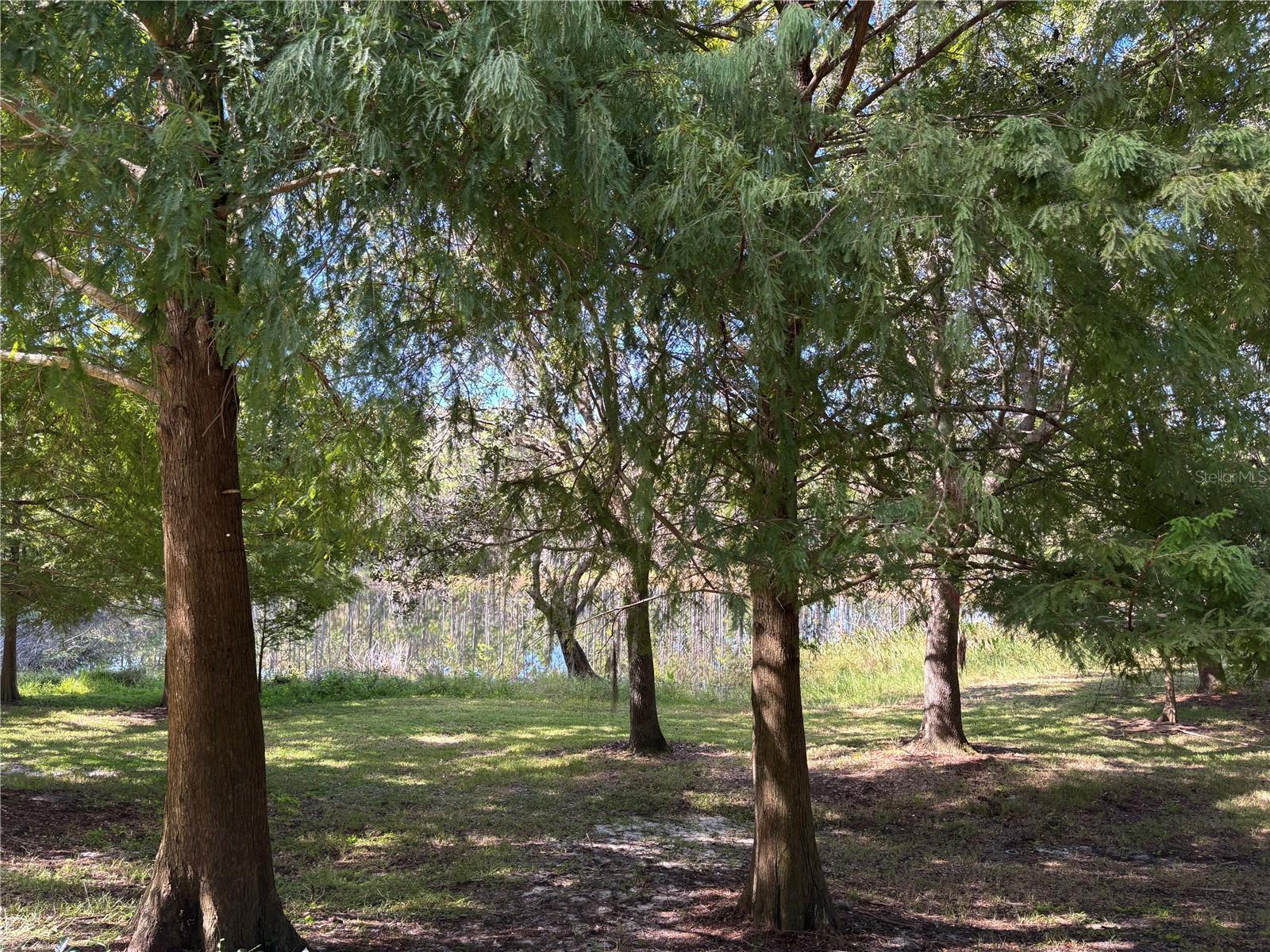 Image 20 of 23 For 870 Vineland Place