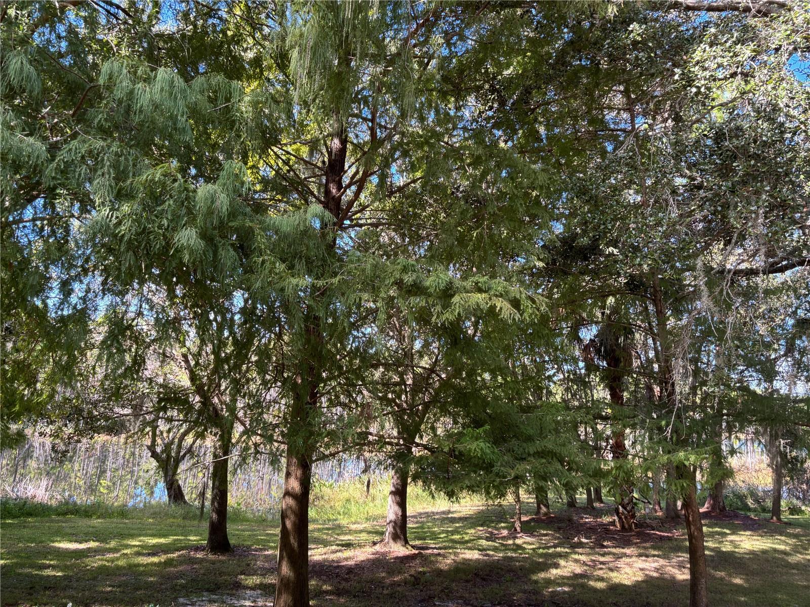 Image 21 of 23 For 870 Vineland Place