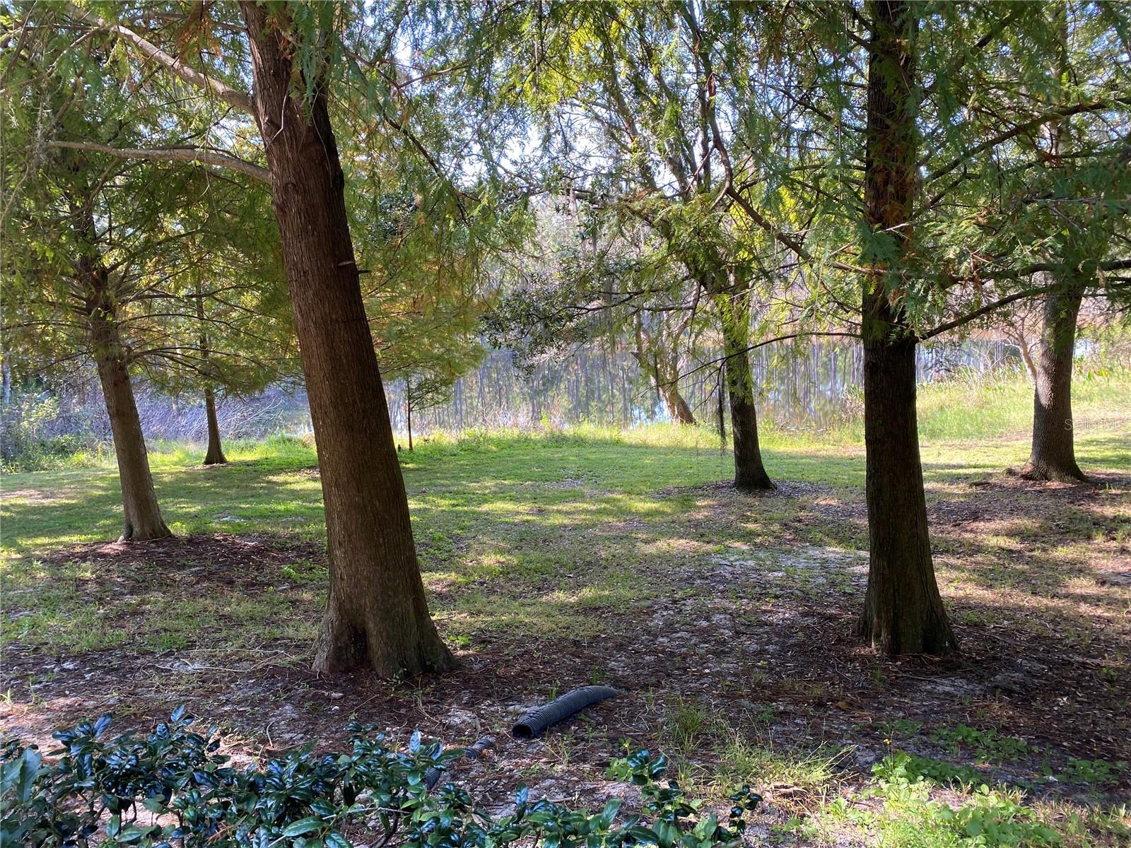 Image 22 of 23 For 870 Vineland Place