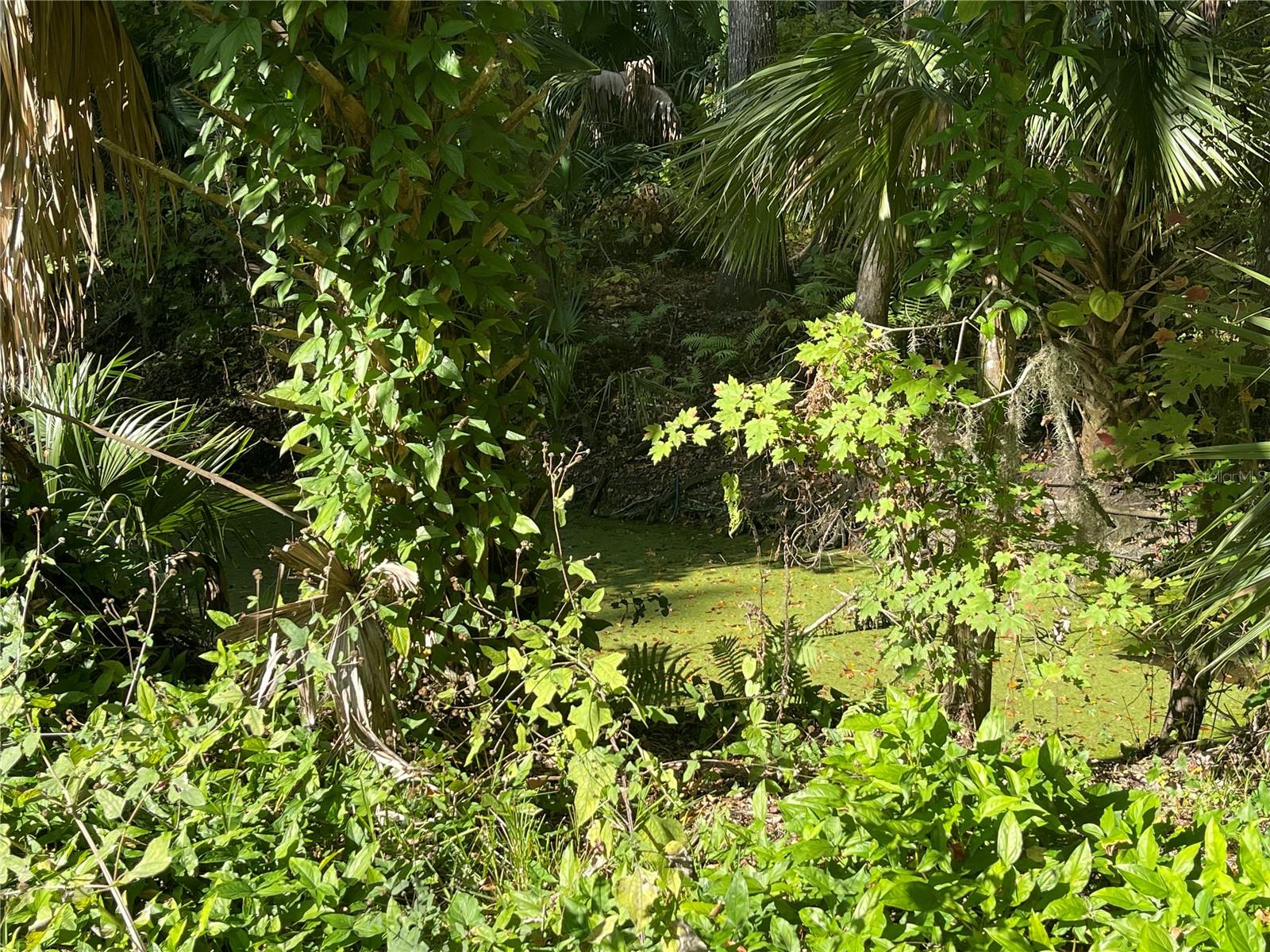 Image 4 of 6 For 3785 Cr 405n