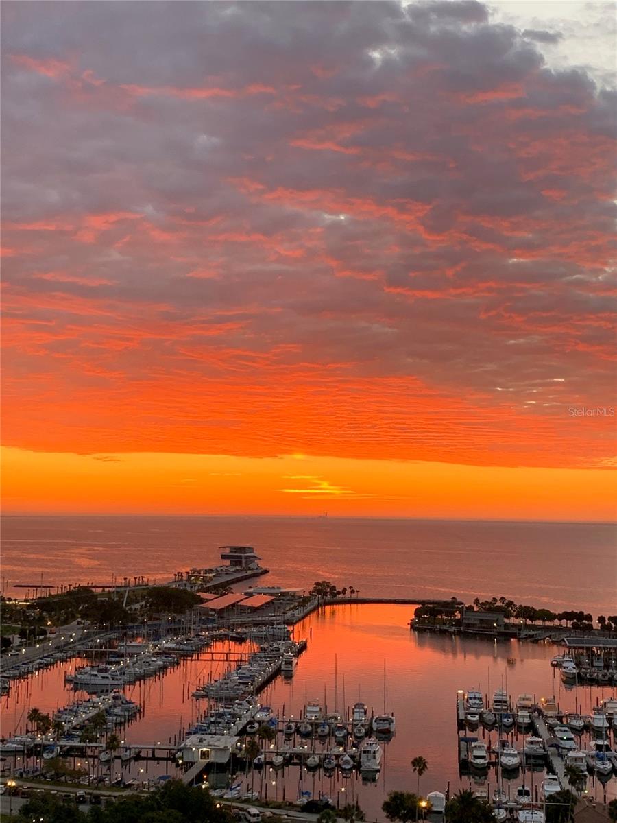 Details for 100 1st Avenue N 1804, ST PETERSBURG, FL 33701