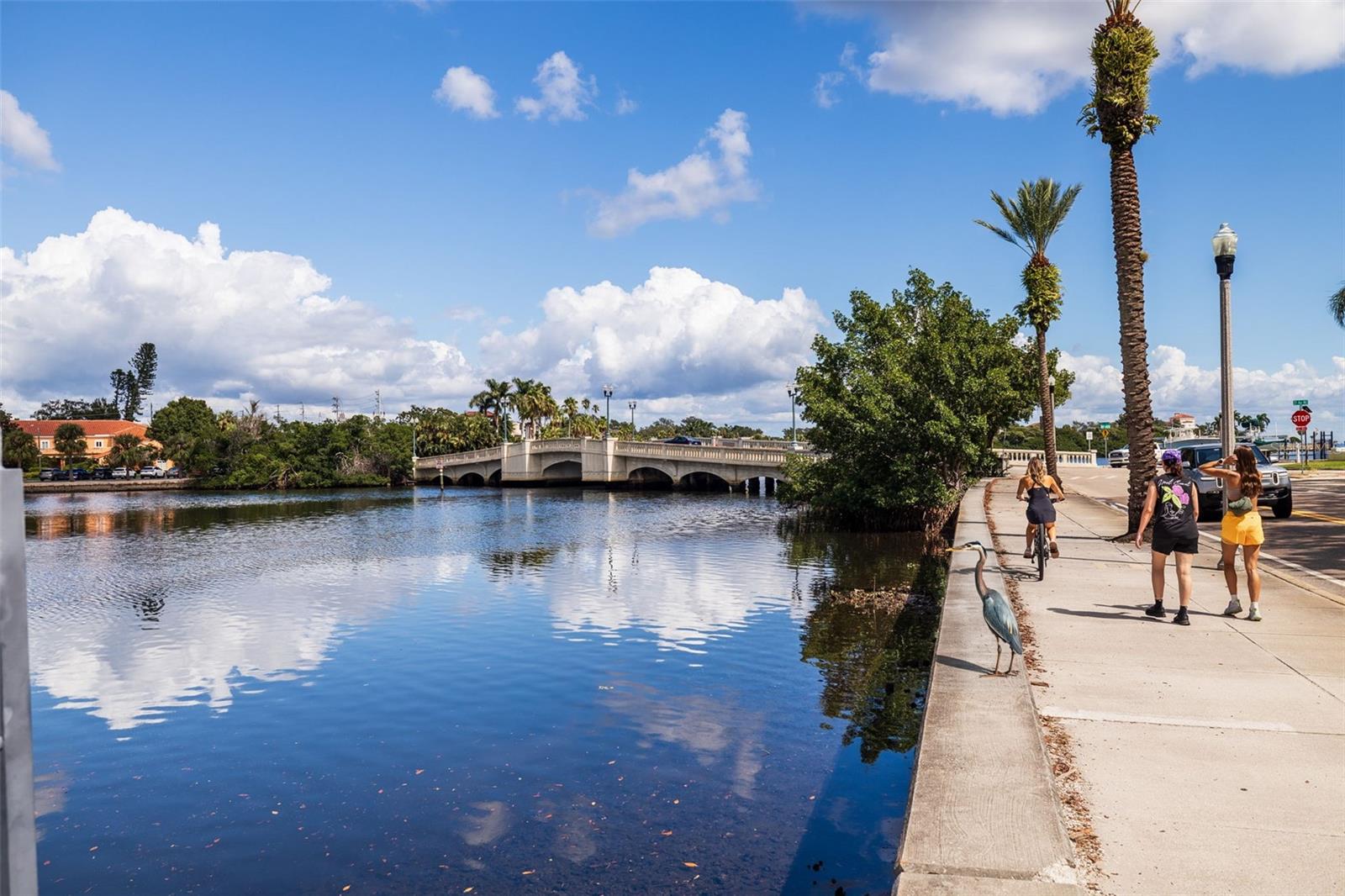 Image 43 of 46 For 176 25th Avenue N