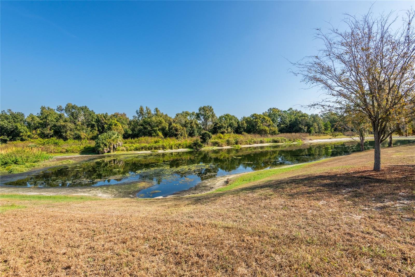 Image 41 of 48 For 9404 Ayleshire Place