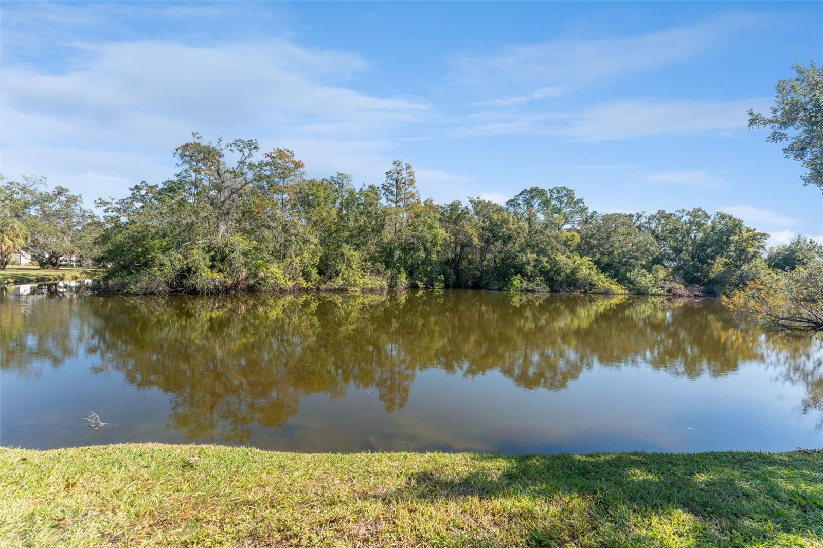 Image 32 of 37 For 219 Cypress Court 219