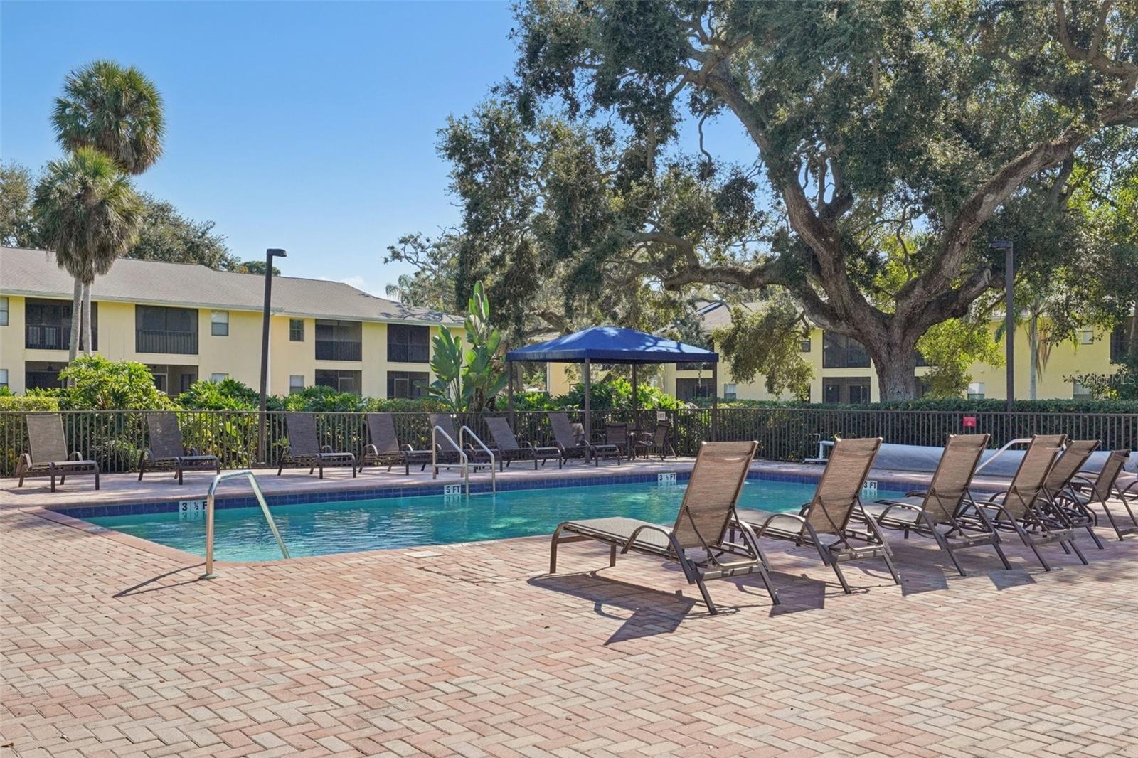 Image 58 of 86 For 3001 58th Avenue S 203