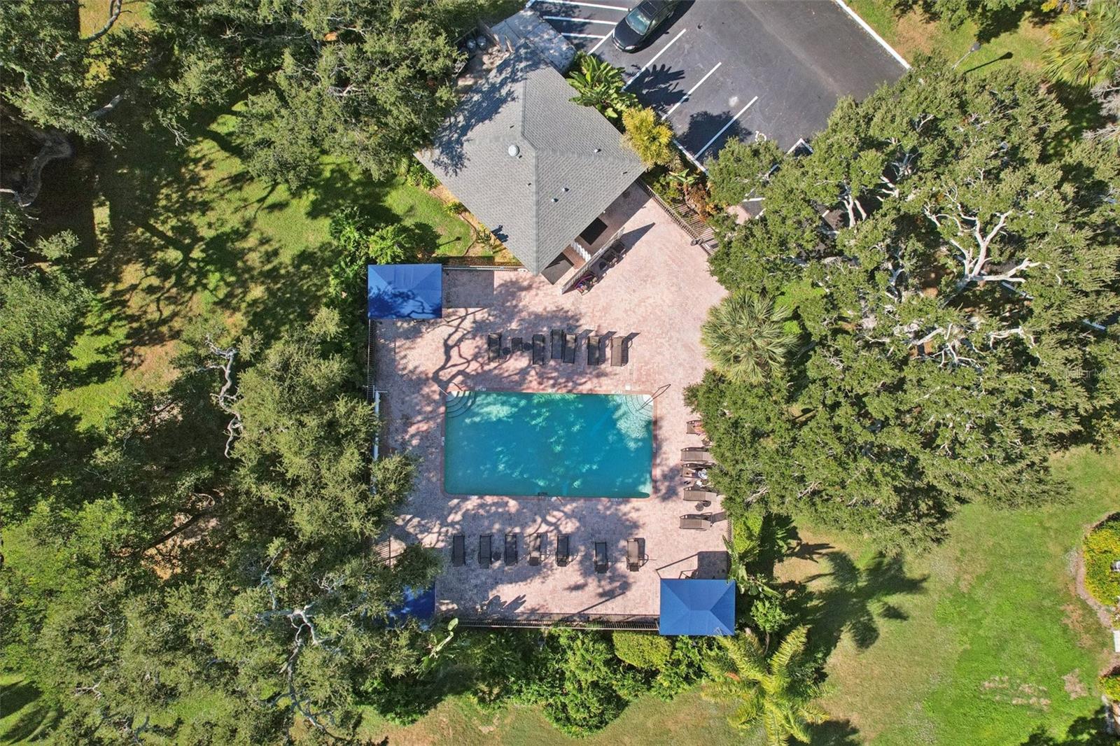 Image 62 of 86 For 3001 58th Avenue S 203