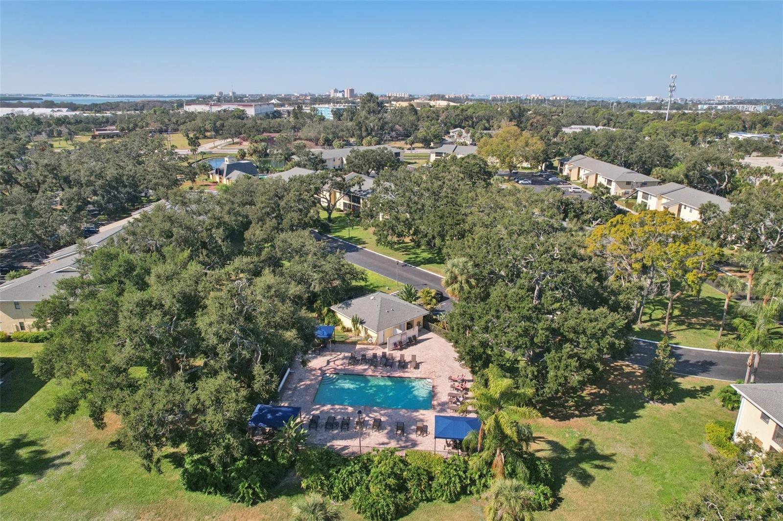 Image 63 of 86 For 3001 58th Avenue S 203