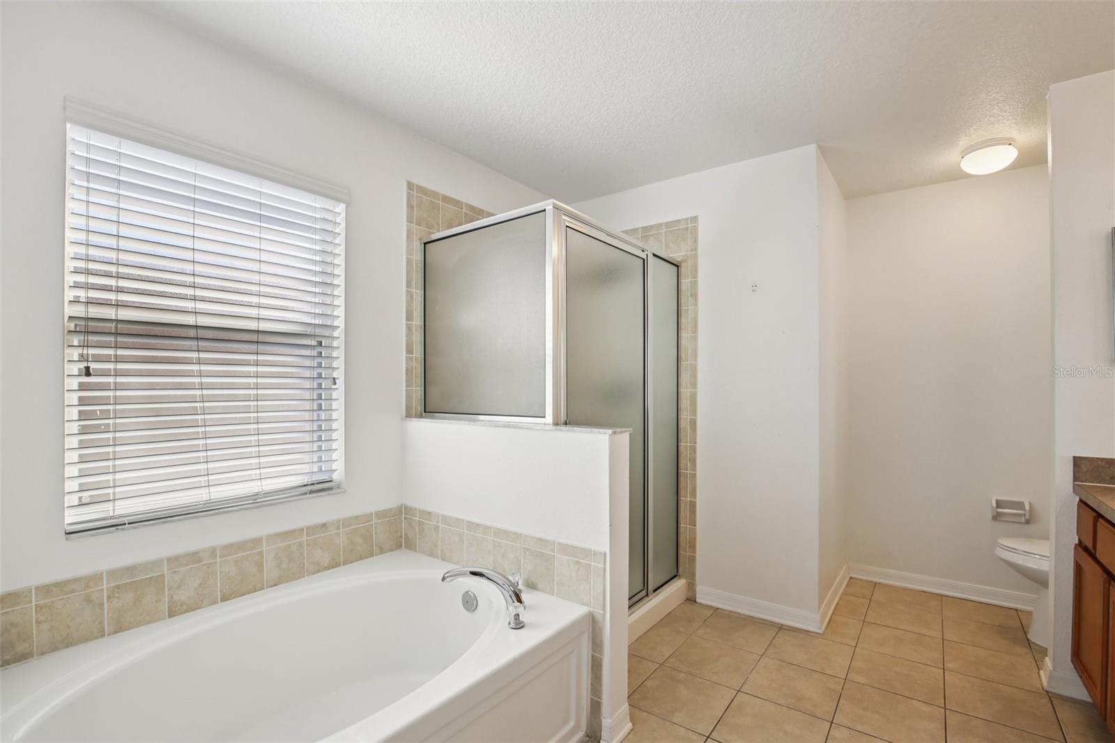 Image 11 of 35 For 10545 Shady Falls Court