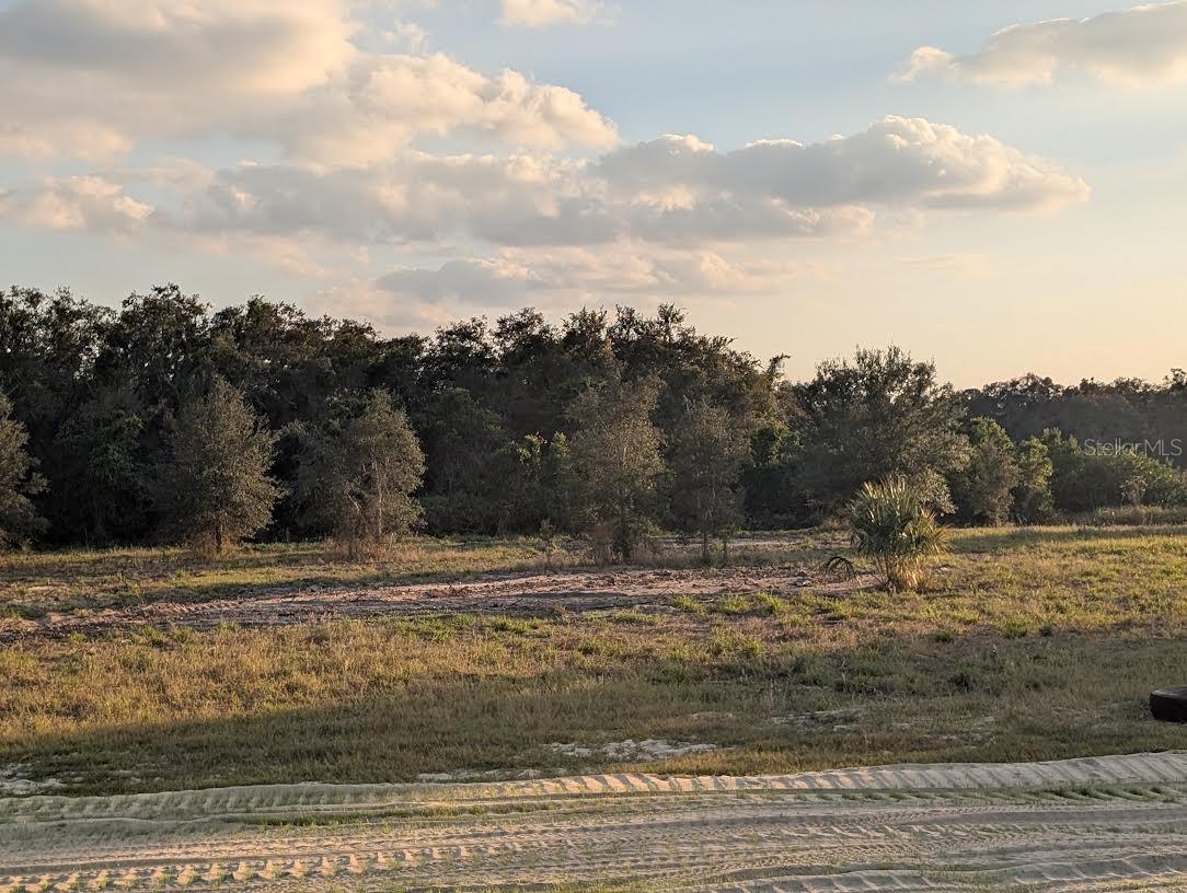 Image 11 of 18 For 4381 Mammoth Grove Road