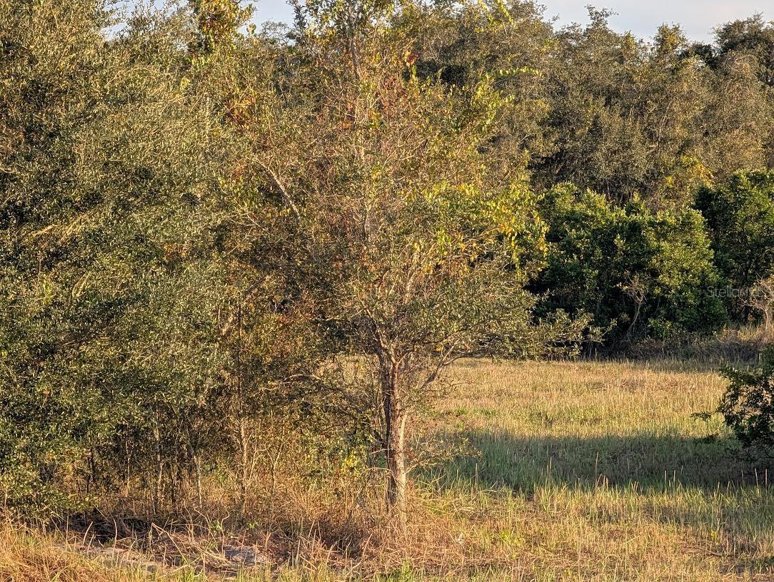 Image 13 of 18 For 4381 Mammoth Grove Road