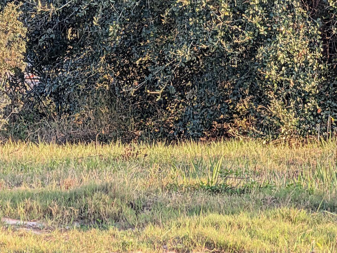 Image 15 of 18 For 4381 Mammoth Grove Road