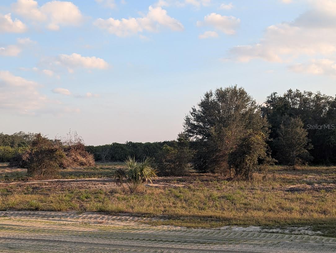 Image 16 of 18 For 4381 Mammoth Grove Road