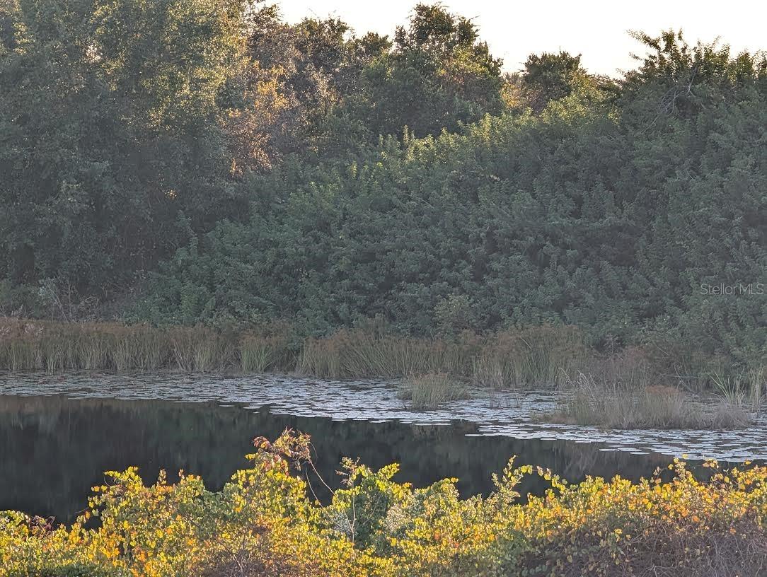 Image 6 of 18 For 4381 Mammoth Grove Road