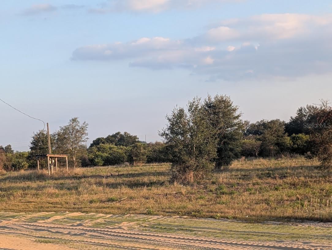 Image 7 of 18 For 4381 Mammoth Grove Road