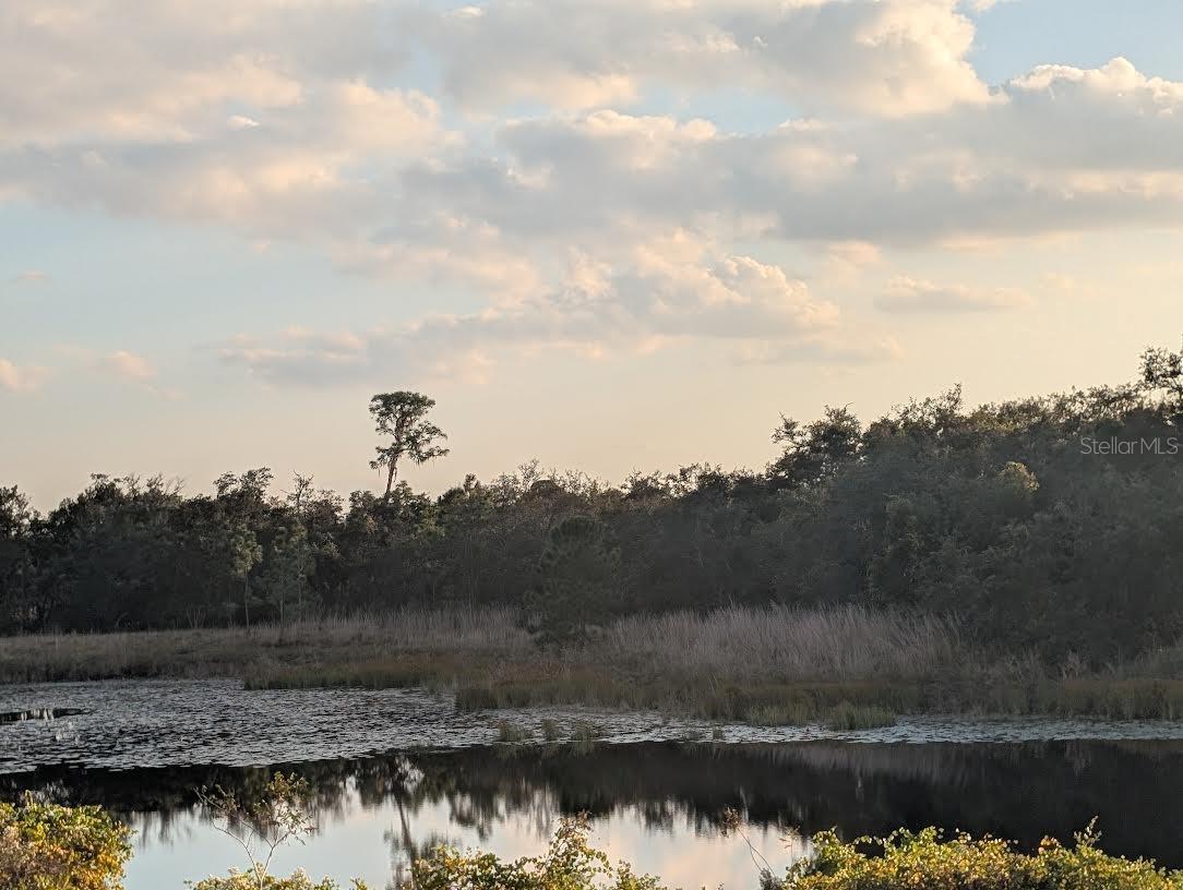 Image 8 of 18 For 4381 Mammoth Grove Road