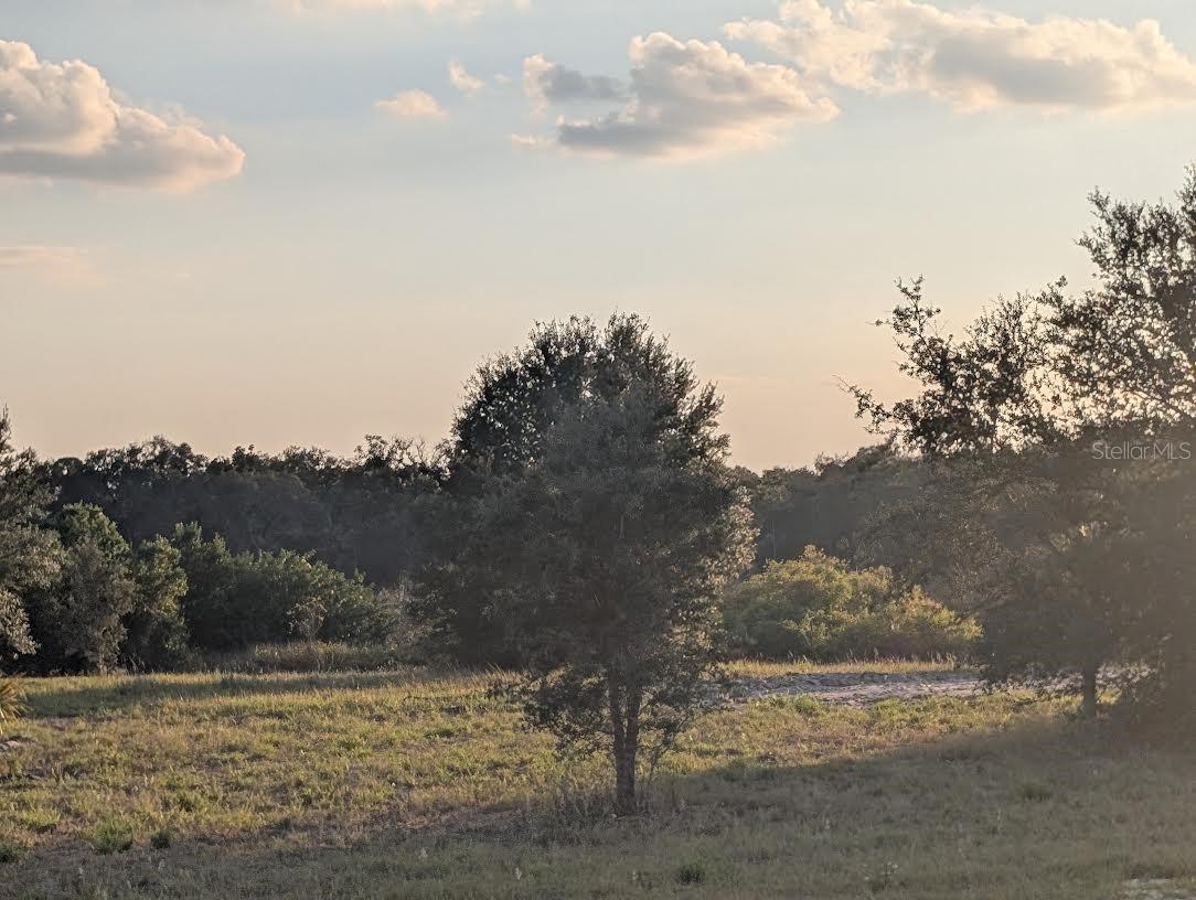 Image 9 of 18 For 4381 Mammoth Grove Road