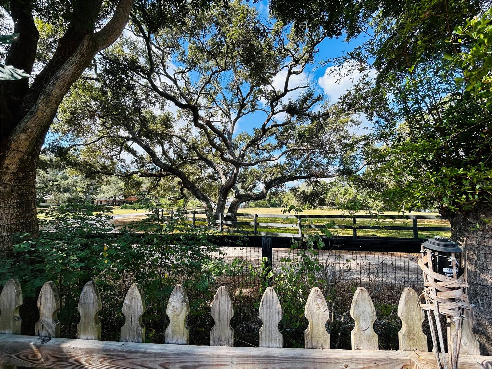 Image 35 of 36 For 2056 59th Way N