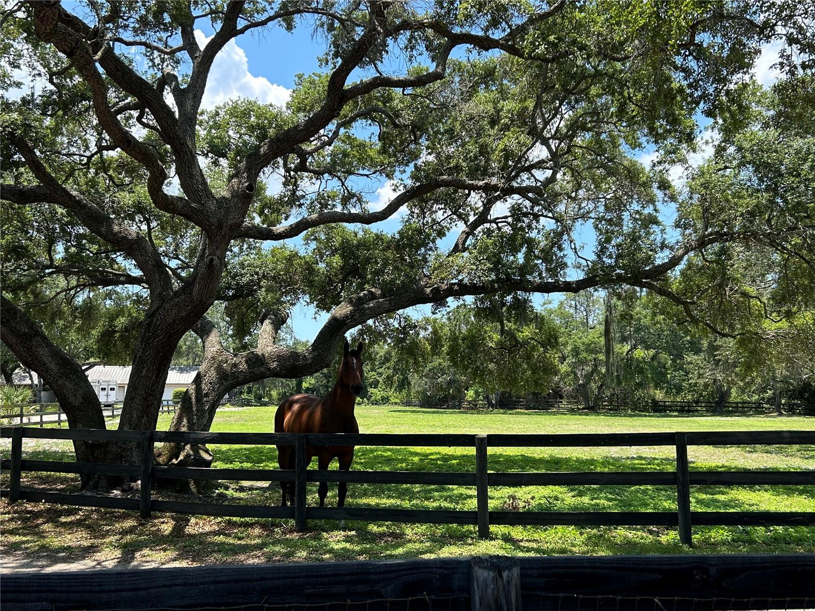 Image 36 of 36 For 2056 59th Way N